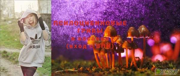 MDMA Premium VHQ Зеленодольск