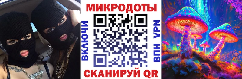 Купить где  Волоколамск  Псилоцибиновые грибы мицелий 
